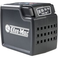 Emak Oleo-Mac 54030031 40V 5.0Ah Battery