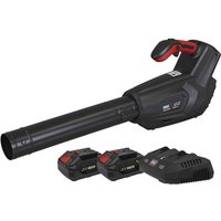 Sealey Sealey CP40VBKIT Cordless Blower Kit with 2x 20V 4Ah Batteries