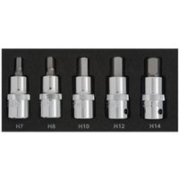 5 Piece 1/2" Drive Hex Bit Set (H7-H14) in EVA Foam Module