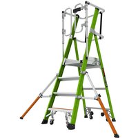 T. B. Davies Little Giant 4 Tread Safety Cage Series 2.0