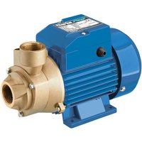 Clarke CEB103 1" 230V Centrifugal Brass Body Water Pump