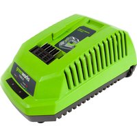 Greenworks 40V Greenworks GWG40C 40V Battery Charger