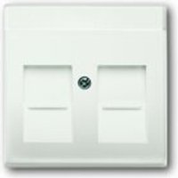 BUSCH 1800-885 1800-885 C-Sch. SF Mod.-Jack 2-f.