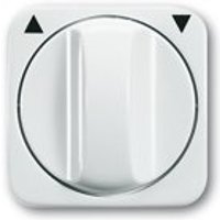 Busch-Jaeger Zentralscheibe 2542 DR-214, alpinweiß