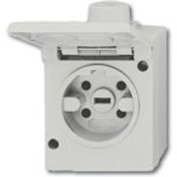 Busch-Jaeger Steckdose 2064 AG, grau RAL 7035