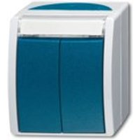 BUSCH 2621 WN-53-205 Doppeltaster 2-Schließer