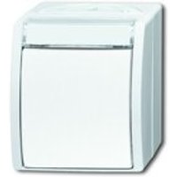 BUSCH 2601/6 WN-54 Wechselschalter m. Namenschild