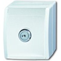 BUSCH 20 EWSL-101-54 Steckdose abschließbar gleich