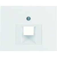 Berker 14097006 Zentralstück für UAE 2fach K.1