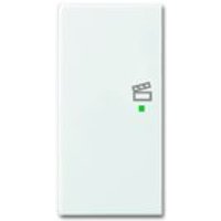 Busch-Jaeger Wippe 6233-21-914, alpinweiß