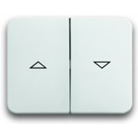 Busch-Jaeger 1785 JA-21 Wippe, Bronze