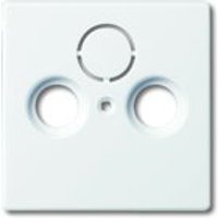 Busch-Jaeger Zentralscheibe 1743-84, studioweiß