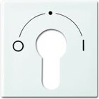 Busch-Jaeger Zentralscheibe 2557 SLPZ-914-101