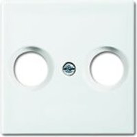 Busch-Jaeger Zentralscheibe 2531-914, alpinweiß