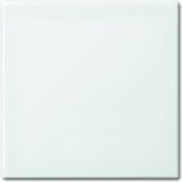 Busch-Jaeger Wippe 2506-914, alpinweiß