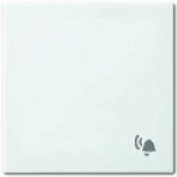 Busch-Jaeger Wippe mit Aufdruck 2520 LI-914