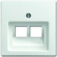 Busch-Jaeger Zentralscheibe 1803-02-914, alpinweiß