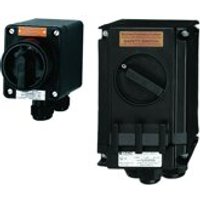 Ceag Ex-Schalter Standard 10A 3p.