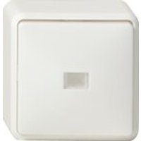 Gira 011613 AUS-KONTR.-WECHSELSCHALTER AP RW