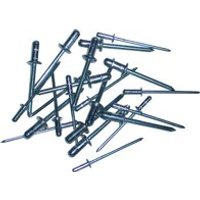 Gesipa 1433853 PolyGrip Niete 4,8 x 17 Großkopf