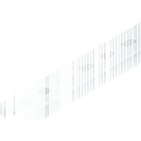 Niedax 2970/2 SL PROFILSCHIENE 2 METER