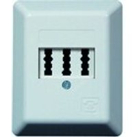 PTAE  Telefondose AP 3x6NFN rw