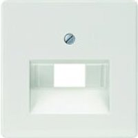 Siemens 5TG2545 Abdeckplatte UAE-Anschlussdose