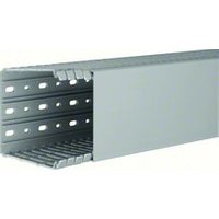 Tehalit BA7100100 Verdrahtungskanal 100x100 grau