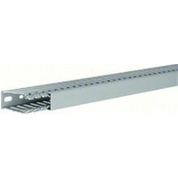 Tehalit BA760025 Verdrahtungskanal 60x25 grau