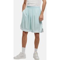 Karl Kani Karl Kani Small Varsity Logo Pinstripe Mesh Short