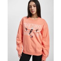 Tommy Jeans Rlxd Gym Sweater