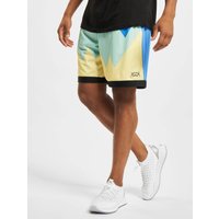 Puma Scholarship Short