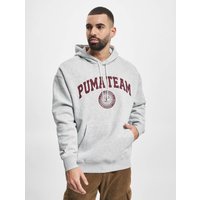Puma Team Hoodie
