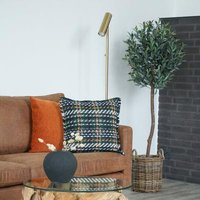 Click to view product details and reviews for Fairlawn Green Olive Tree. Click to view product details and reviews for Fairlawn Green Olive Tree.