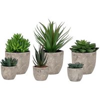 Click to view product details and reviews for Green Spello Flower Display. Click to view product details and reviews for Green Spello Flower Display.
