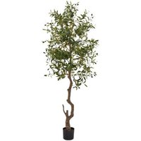 Click to view product details and reviews for Morgan Olive Large Tree. Click to view product details and reviews for Morgan Olive Large Tree.