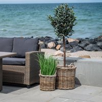 Click to view product details and reviews for Gili Basket Natural Kubu Rattan Set Of 2. Click to view product details and reviews for Gili Basket Natural Kubu Rattan Set Of 2.