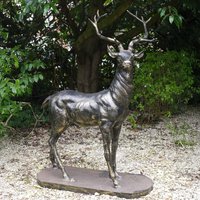 Click to view product details and reviews for Outdoor Stag Statue Lhf Resin. Click to view product details and reviews for Outdoor Stag Statue Lhf Resin.