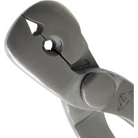 Horseshoe Nail Puller Silver 12""