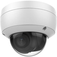 HiLook Dome Kamera | FullHD | 2 MP | IR Nachtsicht | LAN + PoE