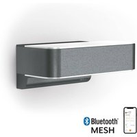 LED Außenleuchte | L 810