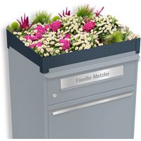 Metzler Pflanzdach für Paketbox | Dachbegrünung für Paketbriefkasten | für Modellreihe Bispo