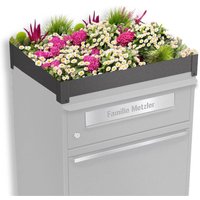 Metzler Pflanzdach für Paketbox | DB 703 Eisenglimmer | Dachbegrünung für Paketbriefkasten | für Modellreihe Bispo