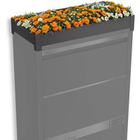 Metzler Pflanzdach in Eisenglimmer | Dachbegrünung für Paketbox Modellreihe Avalon