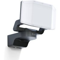LED-Strahler | XLED Protect S | Anthrazit