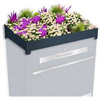 Metzler Pflanzdach für Ihre Paketbox | Dachbegrünung für Paketbriefkasten | für Modellreihe Bispo Max