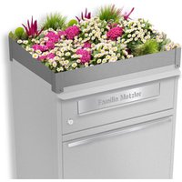 Metzler Pflanzdach für Paketbox | Dachbegrünung für Paketbriefkasten | Grau | für Modellreihe Bispo