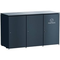 Metzler Mülltonnenbox | 2er mit Paketbox | Extra großes Volumen | Aus Aluminium | Höhenverstellbare Füße | Anthrazit