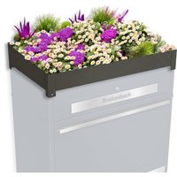 Metzler Pflanzdach für Ihre Paketbox | Dachbegrünung für Paketbriefkasten | für Modellreihe Bispo Max | Eisenglimmer