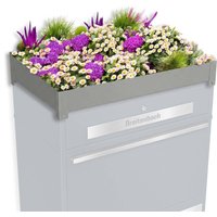 Metzler Pflanzdach für Ihre Paketbox | Dachbegrünung für Paketbriefkasten | für Modellreihe Bispo Max | Grau